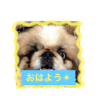 パティー（個別スタンプ：4）