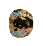 ティオ君スタンプ（個別スタンプ：3）