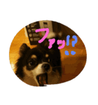 ティオ君スタンプ（個別スタンプ：5）