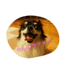 ティオ君スタンプ（個別スタンプ：6）