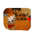 ティオ君スタンプ（個別スタンプ：8）