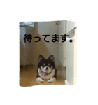 ティオ君スタンプ（個別スタンプ：11）