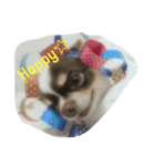 ぽこ太郎（個別スタンプ：4）