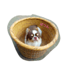 ぽこ太郎（個別スタンプ：9）