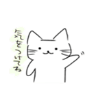 ゆるニャンこ（個別スタンプ：13）