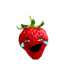 strawberry fun（個別スタンプ：13）