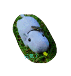 あごちゃん（個別スタンプ：3）