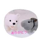 あごちゃん（個別スタンプ：7）