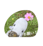 あごちゃん（個別スタンプ：10）