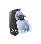 あごちゃん（個別スタンプ：14）