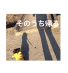 愛犬チョコ（個別スタンプ：14）