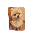 畠中レオン（個別スタンプ：1）