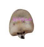 畠中レオン（個別スタンプ：8）