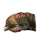 笑う猫、kiri（個別スタンプ：6）