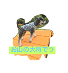 たへえさん1（個別スタンプ：3）