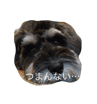 たへえさん1（個別スタンプ：6）