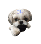るぷ（個別スタンプ：1）