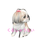 るぷ（個別スタンプ：4）