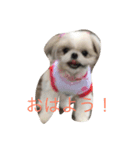 るぷ（個別スタンプ：5）