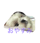 るぷ（個別スタンプ：6）