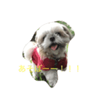 るぷ（個別スタンプ：7）
