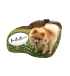 あいさつ日常（個別スタンプ：2）