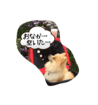 あいさつ日常（個別スタンプ：3）