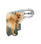 あいさつ日常（個別スタンプ：4）