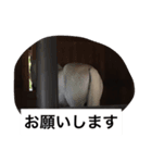 トソ2（個別スタンプ：5）