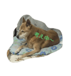 かぴちゃん（個別スタンプ：5）