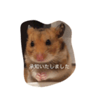 ハムスターマロンの日常（個別スタンプ：2）