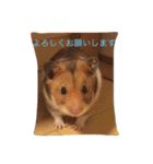 ハムスターマロンの日常（個別スタンプ：10）