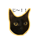 黒猫のマナ（個別スタンプ：3）