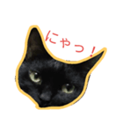 黒猫のマナ（個別スタンプ：6）