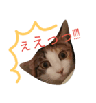 ミミ〜（個別スタンプ：2）