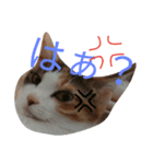 ミミ〜（個別スタンプ：3）