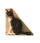 リタスタンプ（個別スタンプ：1）