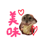 はむちゃんず☆（個別スタンプ：2）
