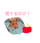 はむちゃんず☆（個別スタンプ：6）