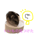はむちゃんず☆（個別スタンプ：8）