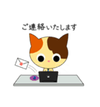 ビジネスにゃん（個別スタンプ：25）