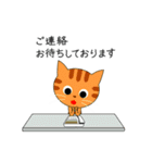 ビジネスにゃん（個別スタンプ：37）