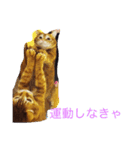 ねこたんのつぶやき（個別スタンプ：8）