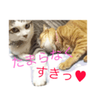 らぶらぶ生活（個別スタンプ：1）