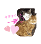 らぶらぶ生活（個別スタンプ：4）
