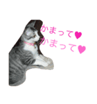 らぶらぶ生活（個別スタンプ：6）