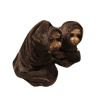 WOOF WOOF（個別スタンプ：1）