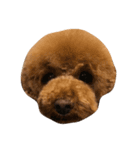 WOOF WOOF（個別スタンプ：3）