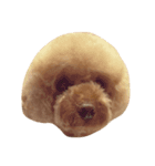 WOOF WOOF（個別スタンプ：4）