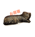 猫のねね（個別スタンプ：7）